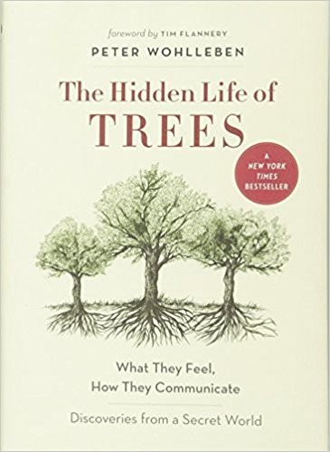 The Hidden lives of Trees